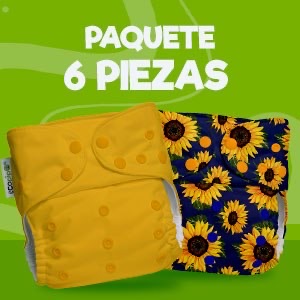 Paquete de 6 piezas